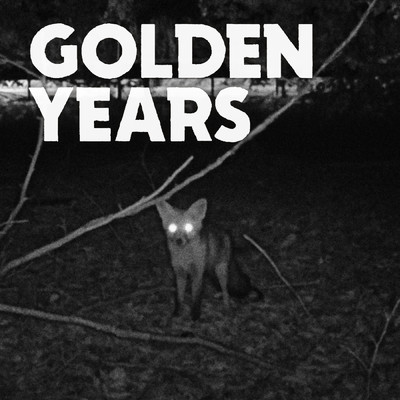 シングル/Golden Years/Tocotronic