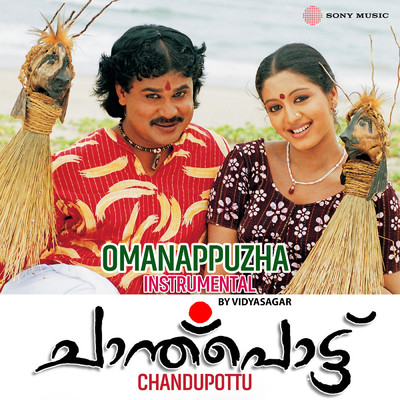 シングル/Omanappuzha(Instrumental)/Vidyasagar
