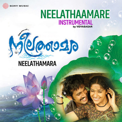 シングル/Neelathaamare(Instrumental)/Vidyasagar