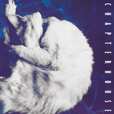 アルバム/Whirlpool, Before and After/Chapterhouse