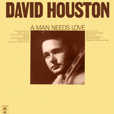 シングル/I Walk And I Walk And I Walk/David Houston
