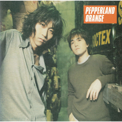 Pepperland Orange