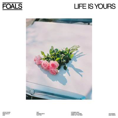 Crest of the Wave/Foals