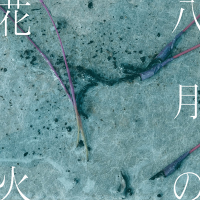 シングル/八月の花火/紫 今