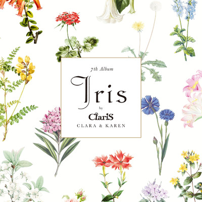 Love is Mystery/ClariS