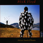 アルバム/Delicate Sound of Thunder (Live)/Pink Floyd