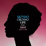 シングル/LIFE【2024 re-edit】 feat.bird/MONDO GROSSO